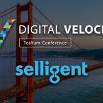 DVSF Selligent Sponsor