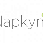 Napkyn logo