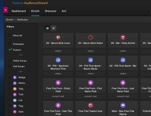 Fun Segments Created in AudienceStream