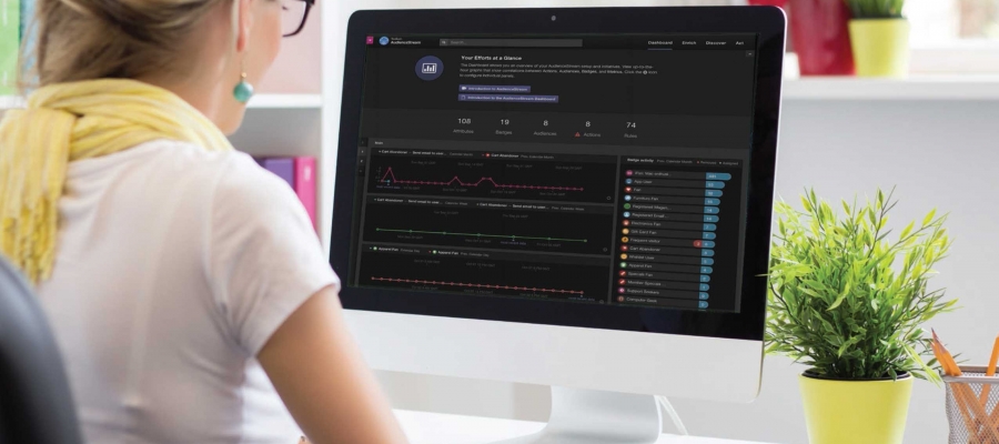 Spécialiste en marketing numérique utilisant AudienceStream