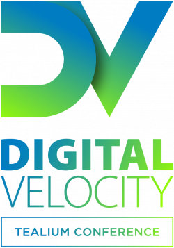 dv2019_logo_vert_01 dv2019_logo_vert_01