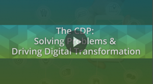 The CDP: Solving Problems
