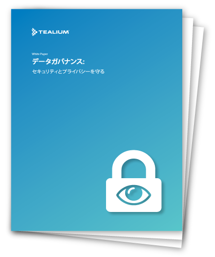 data_governance_embracing_security_and_privacy_jp_thumb_01