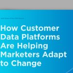 State of the Customer Data Platform (CDP)