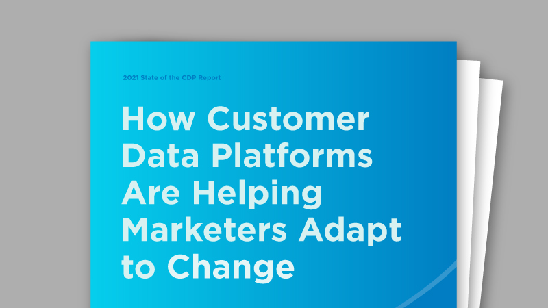 State of the Customer Data Platform (CDP)