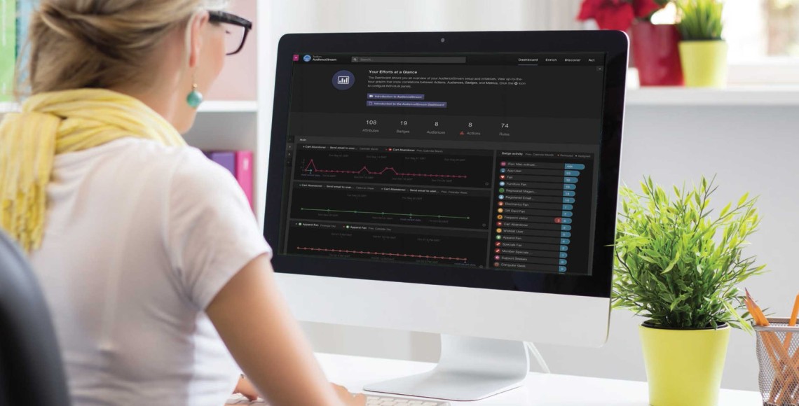 Digital marketer using AudienceStream