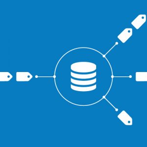 Data-Centric Tag Management
