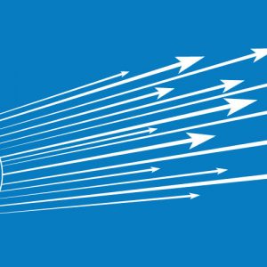 Digital Data Distribution Platforms in Action