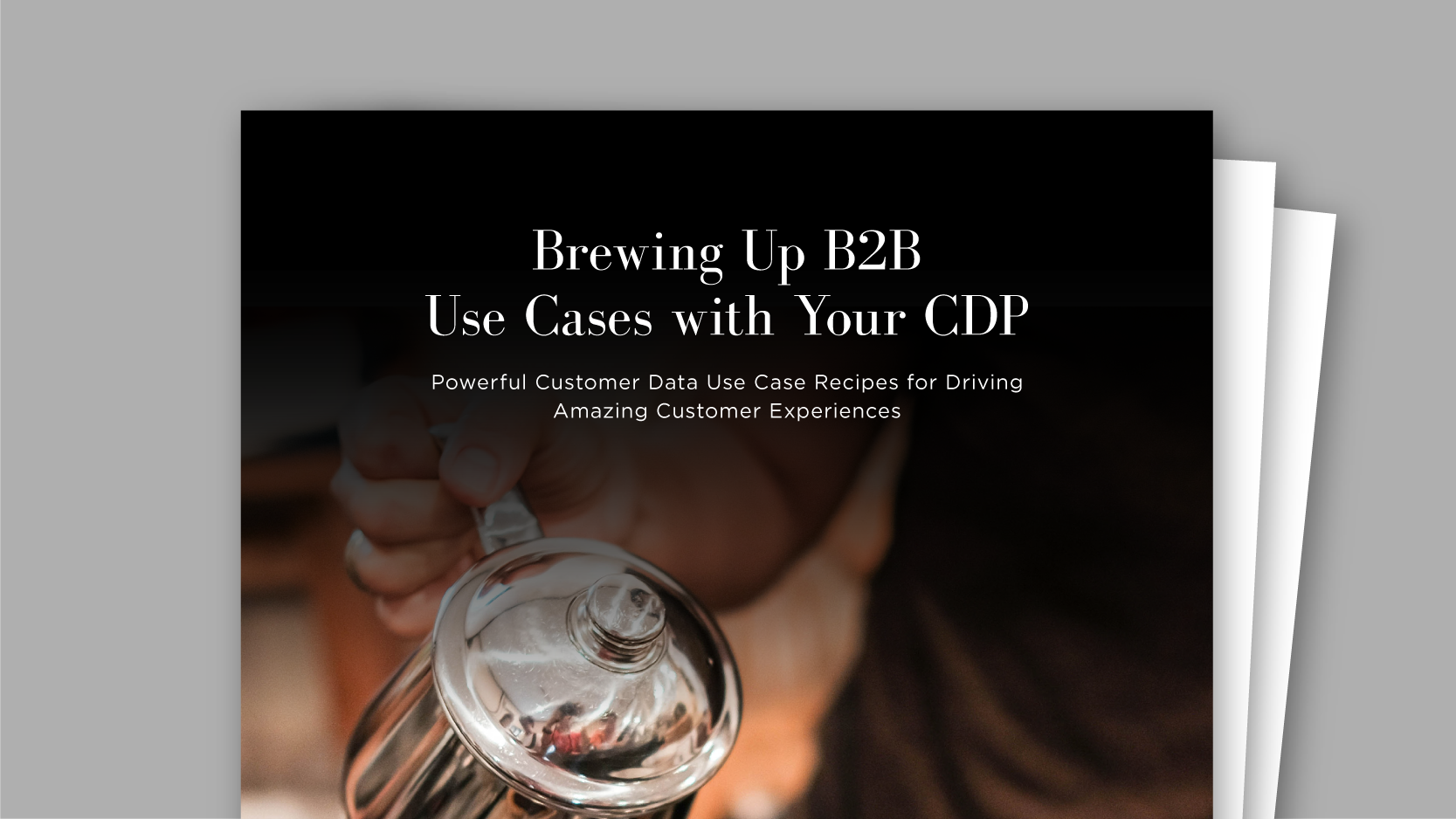 B2B Uses Cases with Your CDP